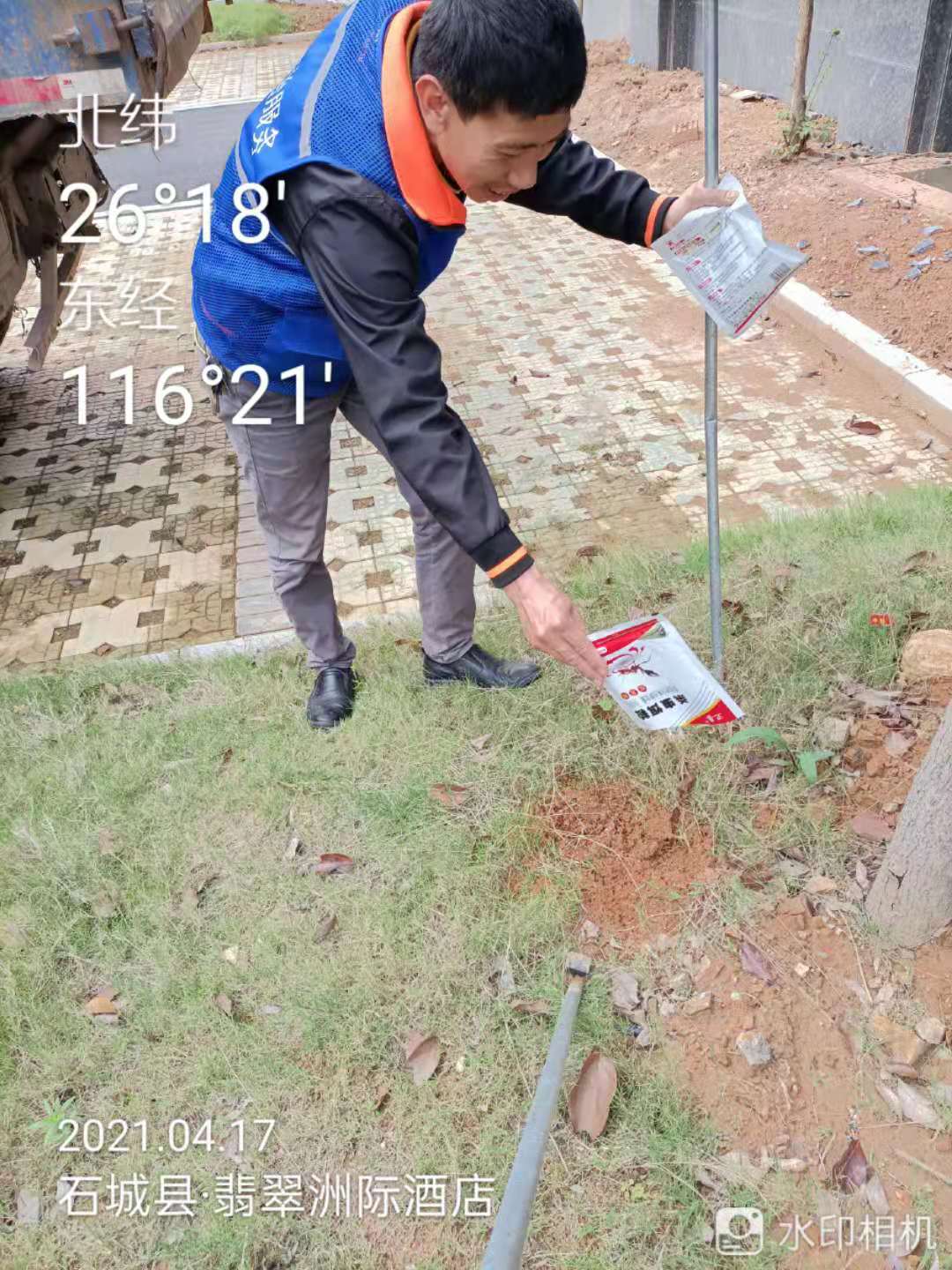 红火蚁防治